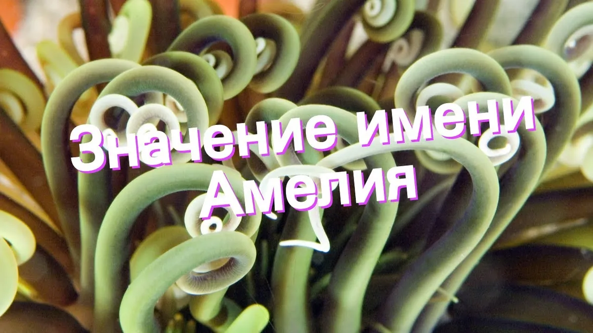Что означает имя Амелия?