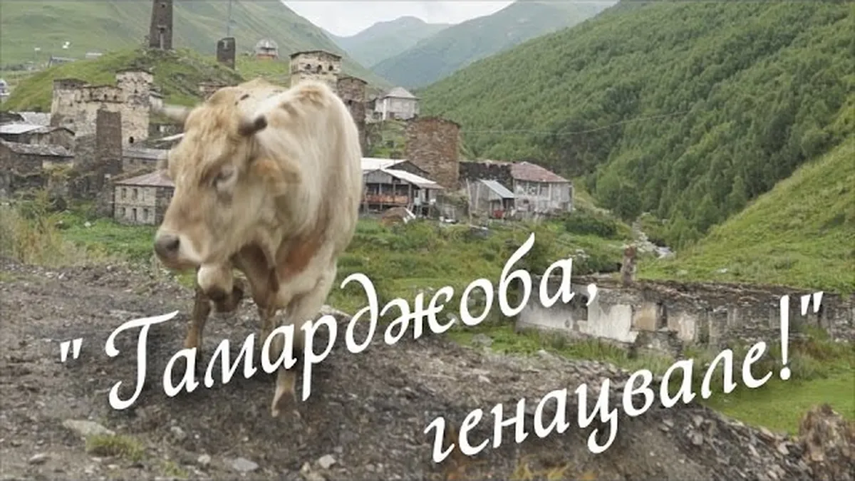 Как переводится с грузинского гамарджоба Генацвале?