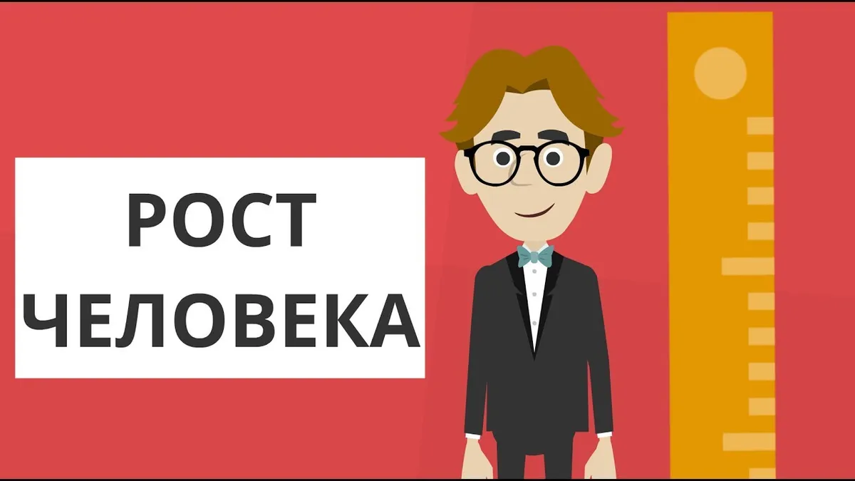 Когда люди перестают расти?