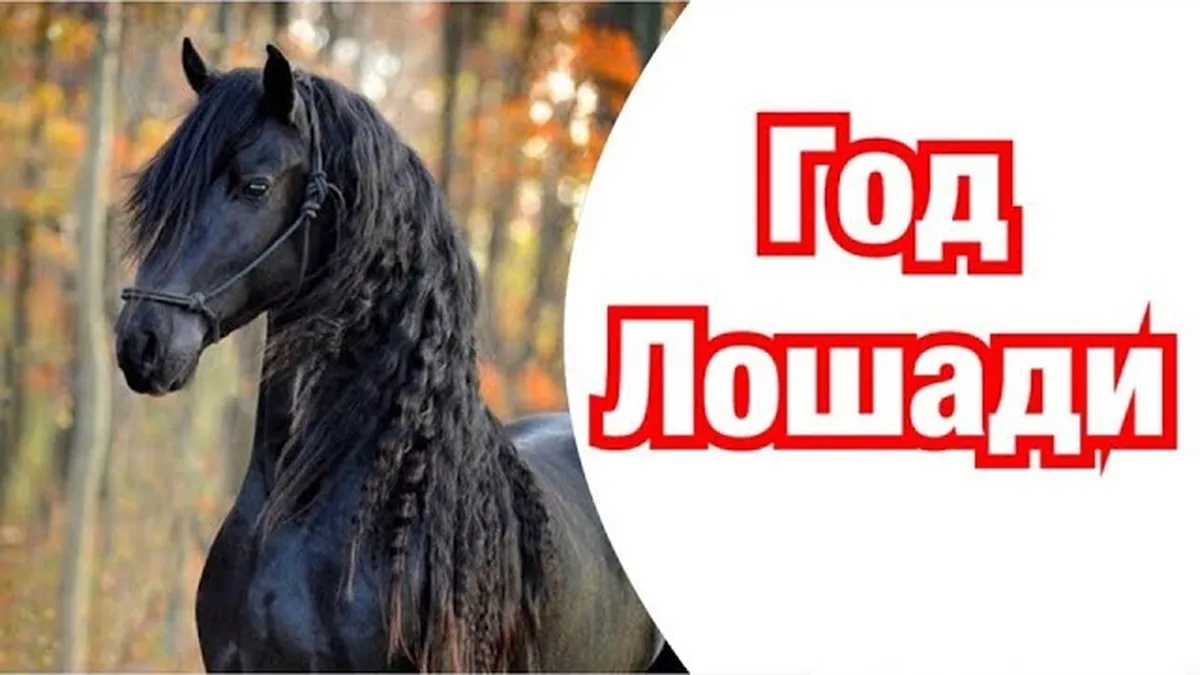 Когда начался год Лошади в 1966 году?