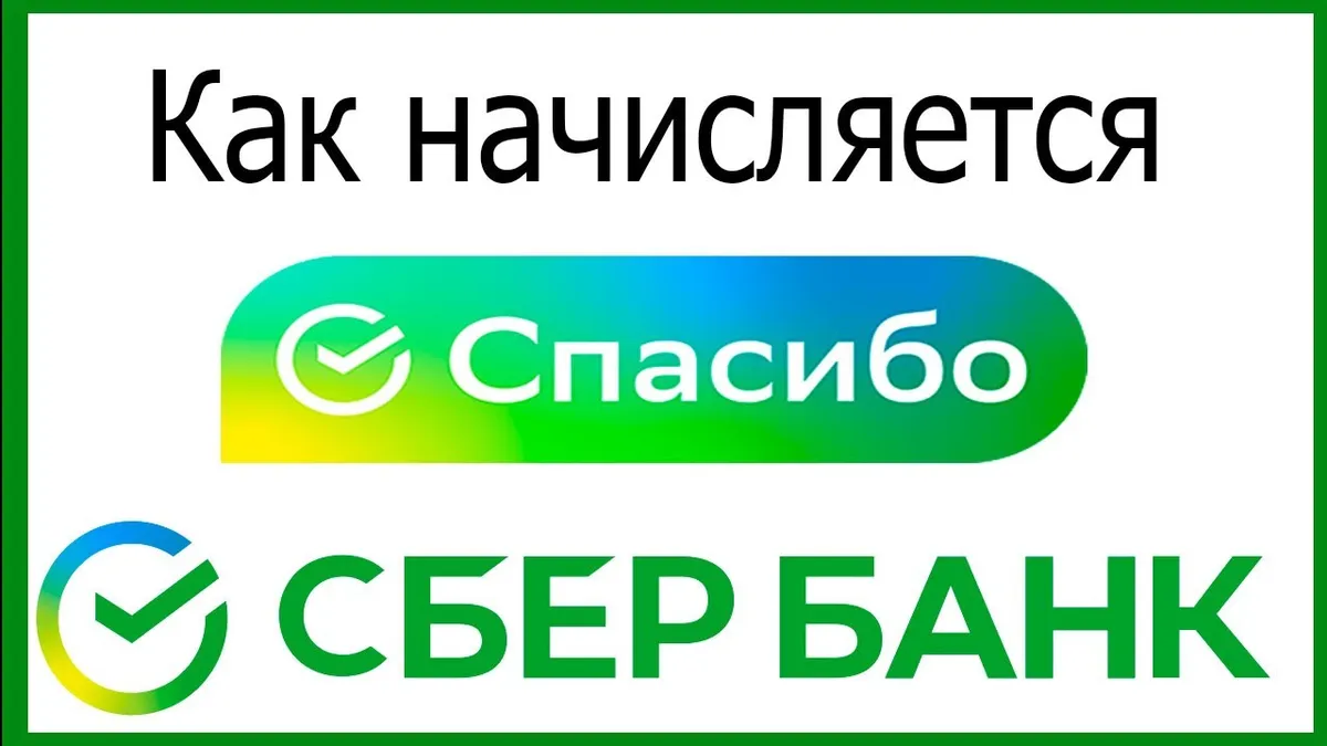 Сколько бонусов Спасибо начисляется?