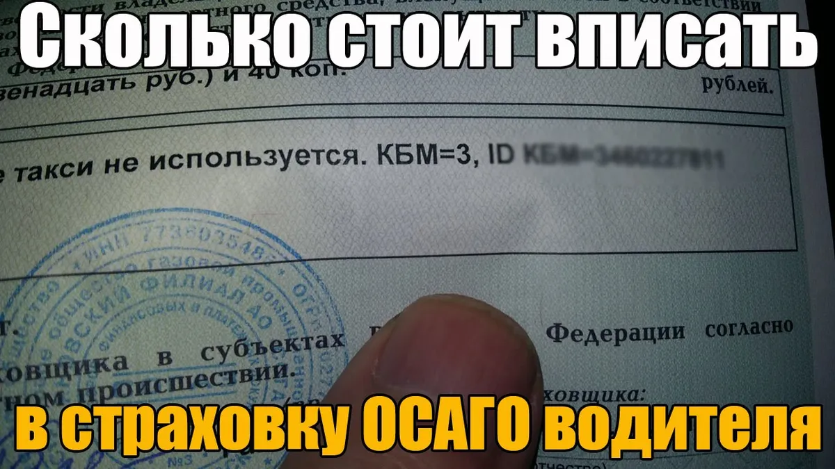 Сколько человек может быть вписано в страховку?
