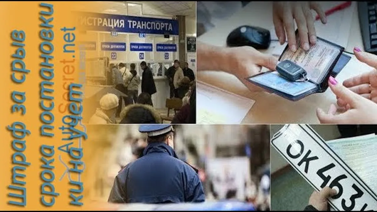 Сколько дней можно ездить без техосмотра после постановки на учет?